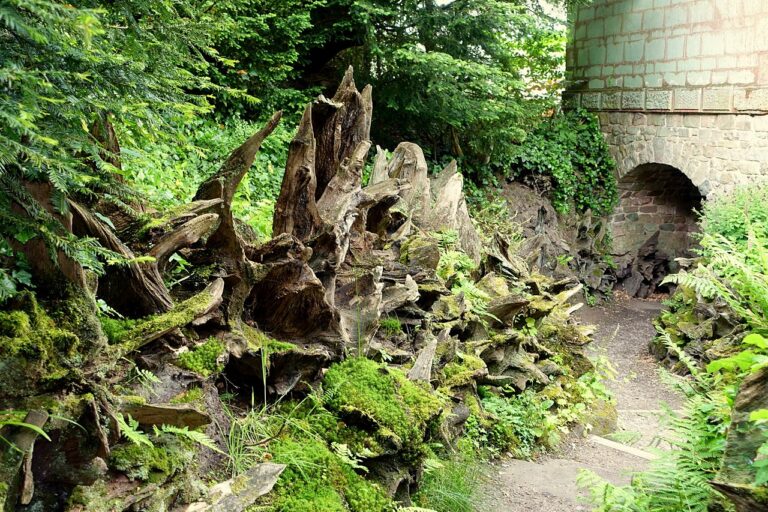 Eine mystische Totholzburg oder Käferburg an einem Weg gelegen.