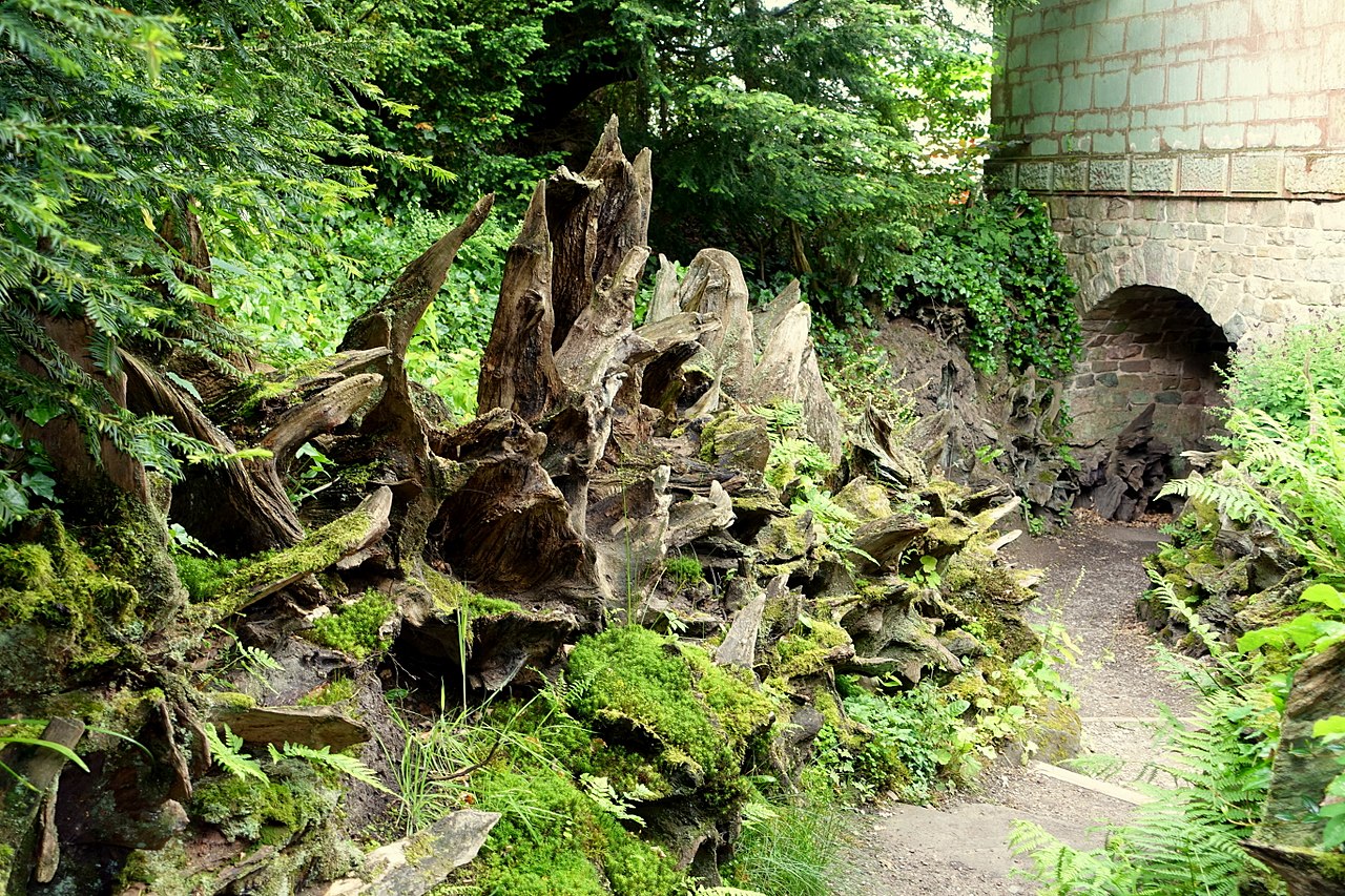 Eine mystische Totholzburg oder Käferburg an einem Weg gelegen.