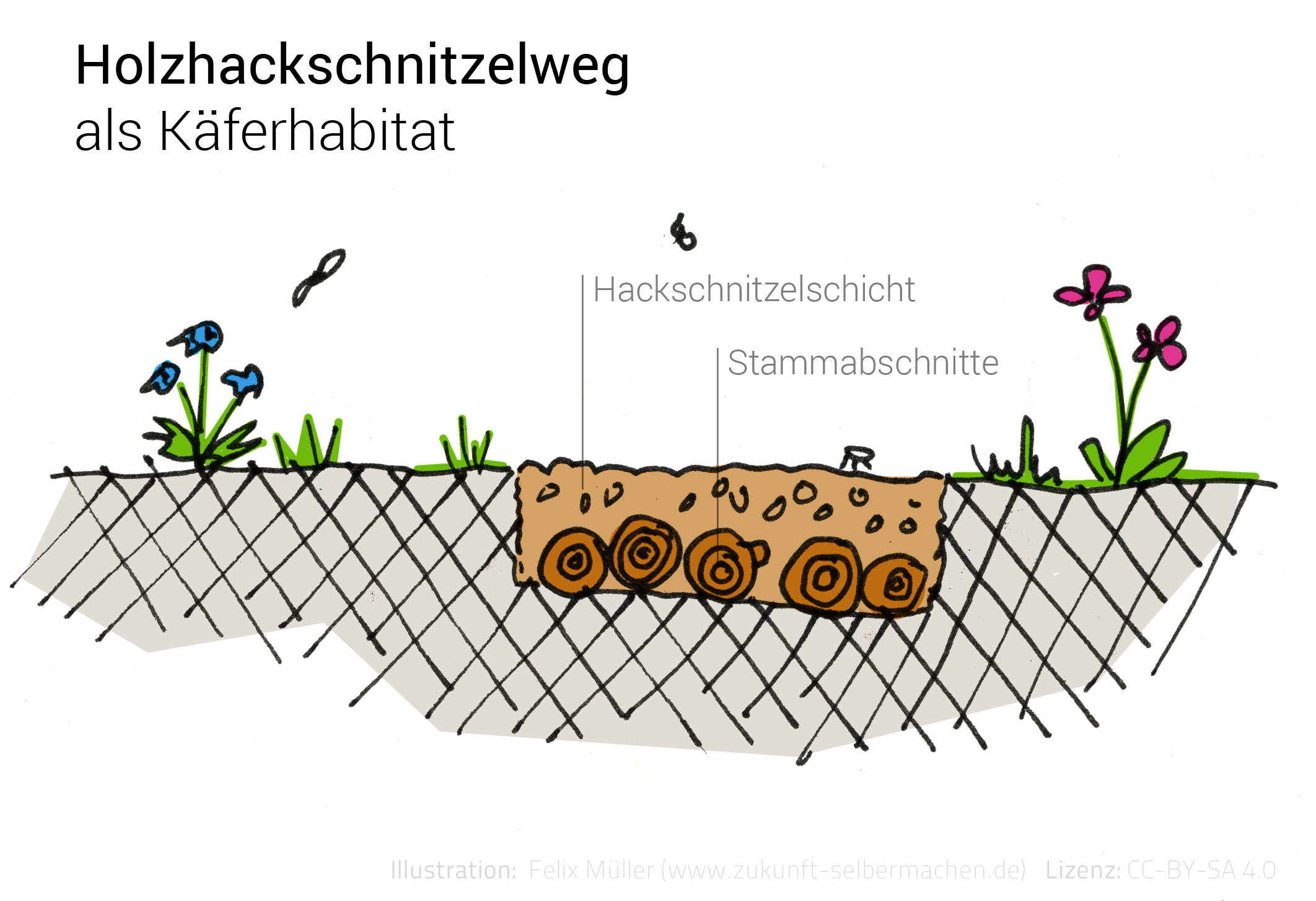 Käferburg Anleitung Skizze