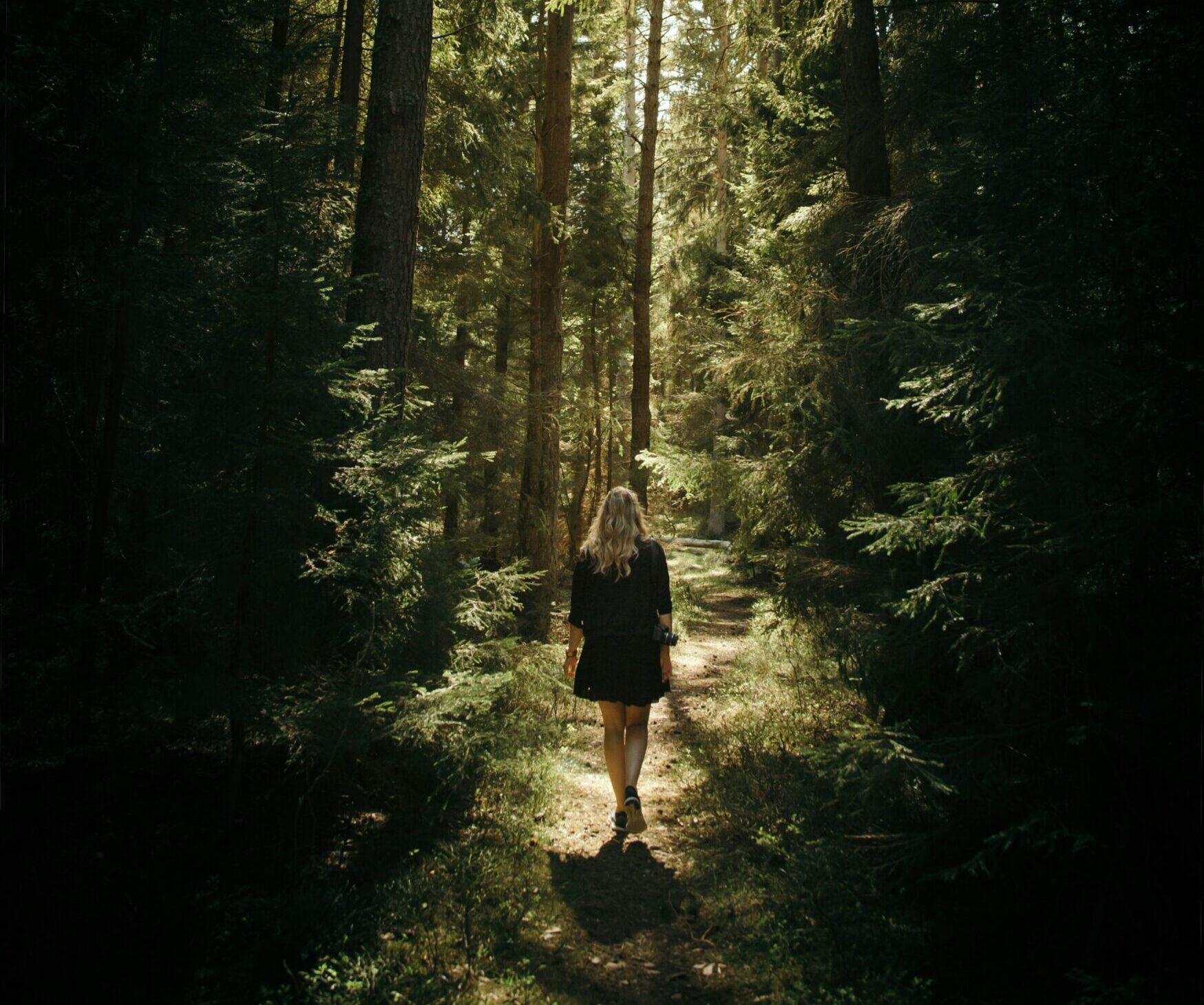 Ein Waldspaziergang kann Seele und Psyche stärken und Wohlbefinden steigern