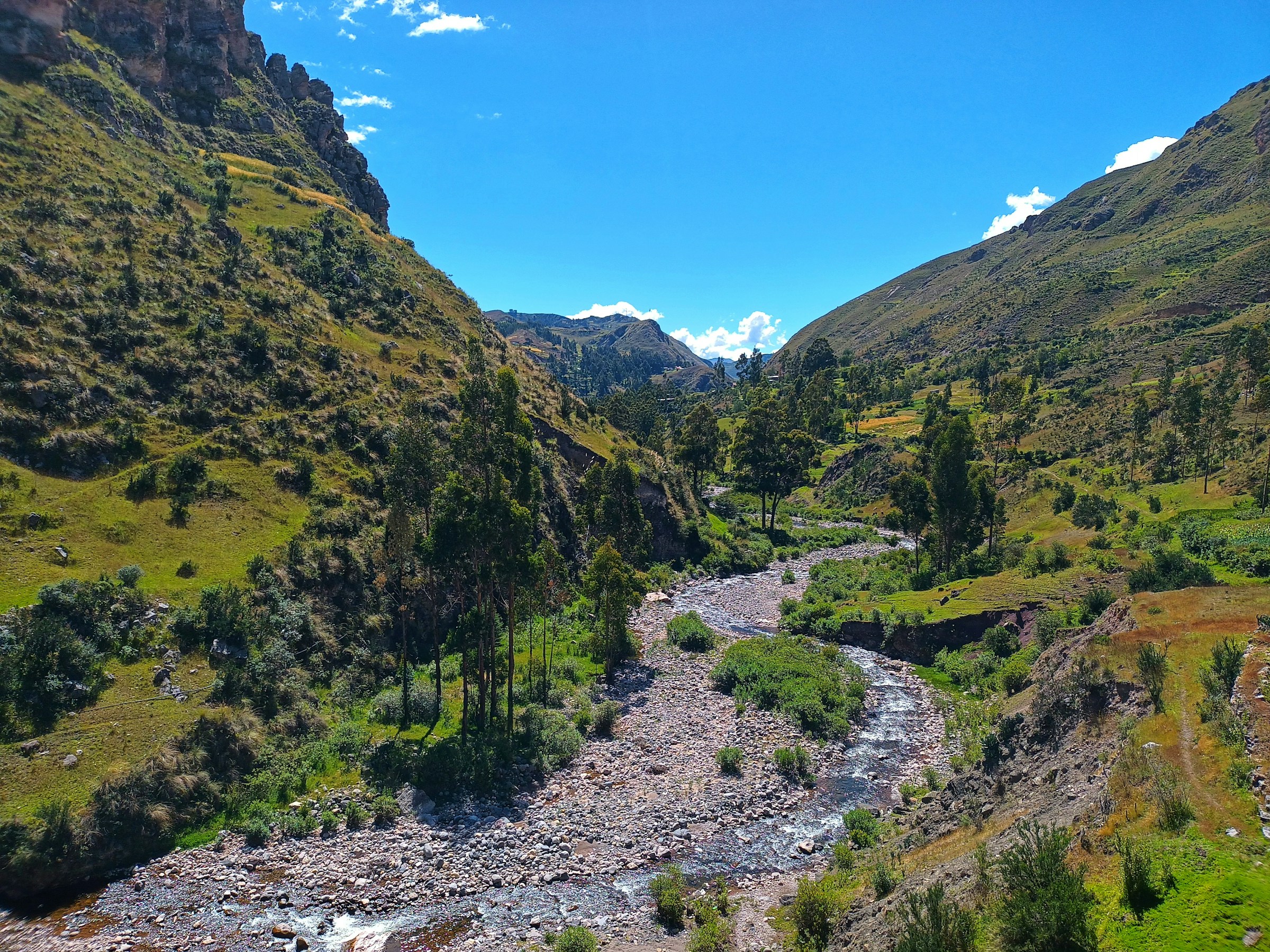 Die Rechte der Natur - wenn die natur die gleichen rechte hat die wie menschen