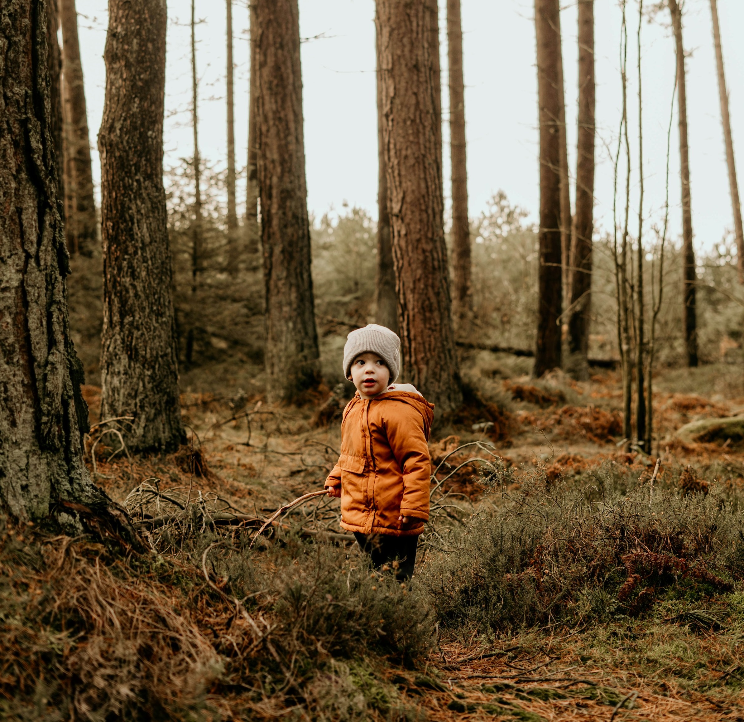 Kinder im Wald sind gesünder