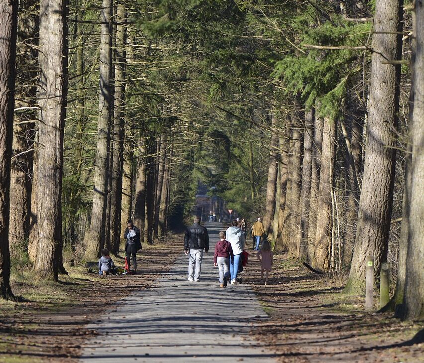 Spazieren gehen in der Natur und im Wald reguliert das Parasympathische und sympatische Nervensystem.