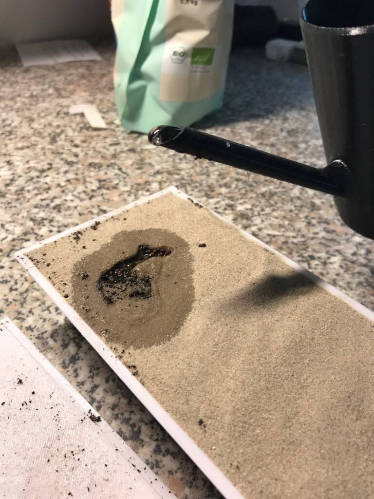 Mikrogreen ohne Schimmel anbauen.