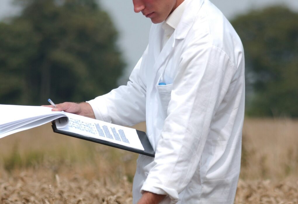 Der langjährige DOK Trial der die Wirkung der biodynamischen Präpärate erforschte zeigt tolle Ergebnisse. Foto von Henrik Hjortshøj auf Unsplash