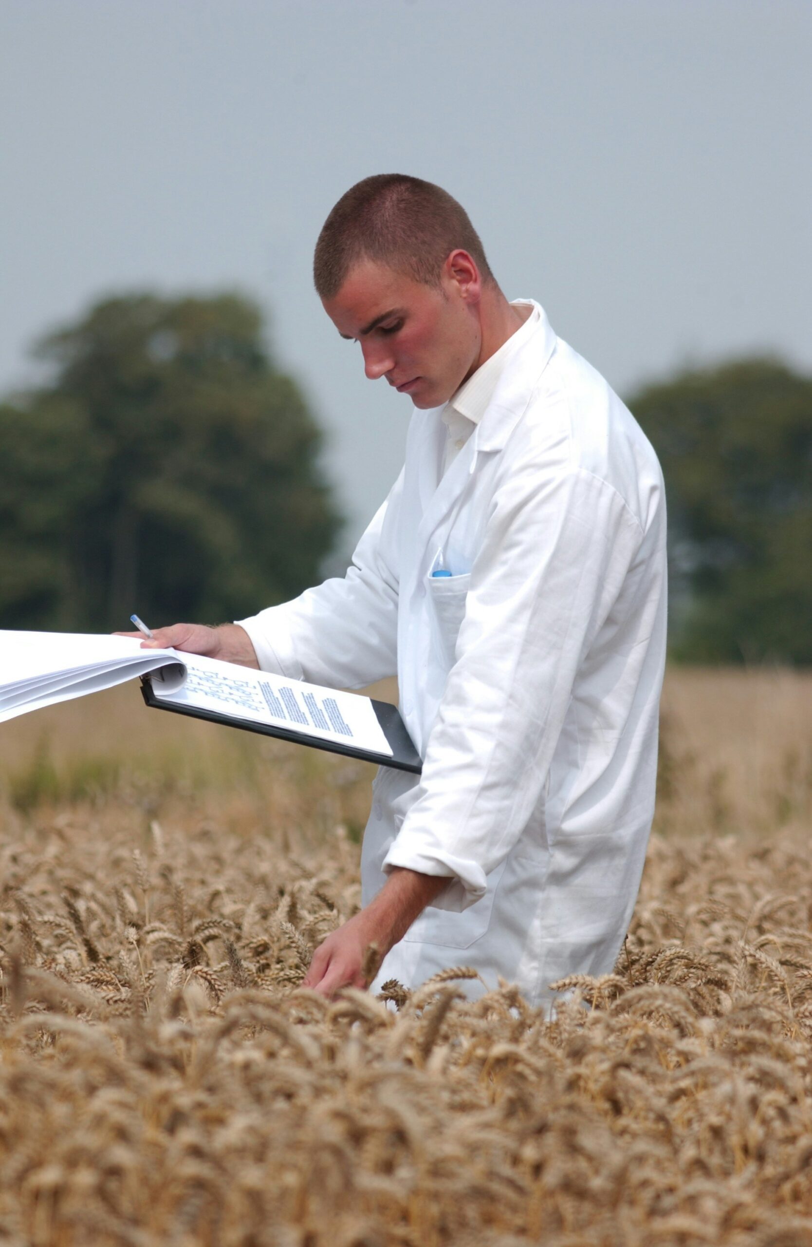 Der langjährige DOK Trial der die Wirkung der biodynamischen Präpärate erforschte zeigt tolle Ergebnisse. Foto von Henrik Hjortshøj auf Unsplash